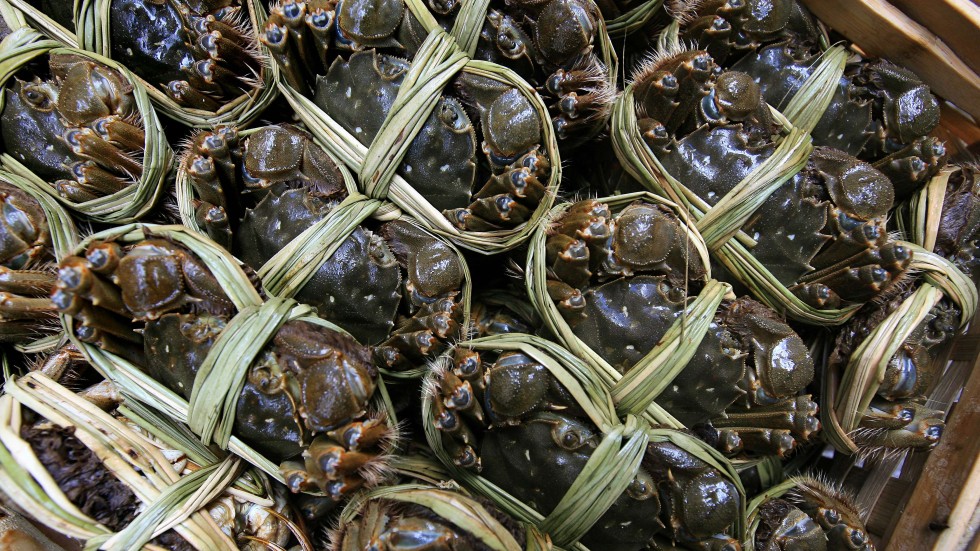 Cua ghẹ Việt đổi dòng chảy: Mỹ tiêu thụ chậm, một thị trường quan trọng khác lại bứt tốc- Ảnh 1.