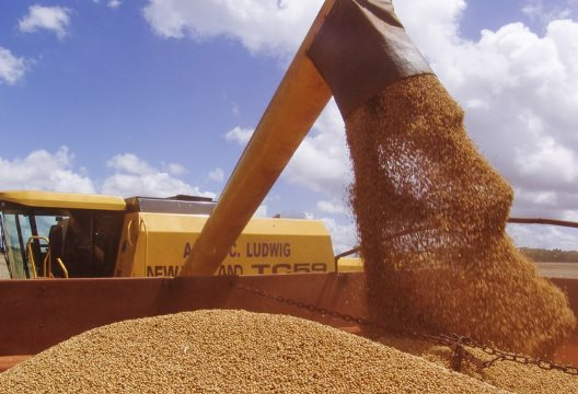Trung Quốc dừng nhập khẩu đậu tương, nông dân Mỹ vẫn trúng lớn do ồ ạt trồng loại nông sản thay thế: Đã ký hợp đồng xuất khẩu 20 triệu tấn, nhu cầu tăng mạnh tại Đông Nam Á- Ảnh 1. Trung Quốc dừng nhập khẩu đậu tương, nông dân Mỹ vẫn trúng lớn do ồ ạt trồng loại nông sản thay thế: Đã ký hợp đồng xuất khẩu 20 triệu tấn, nhu cầu tăng mạnh tại Đông Nam Á- Ảnh 1.