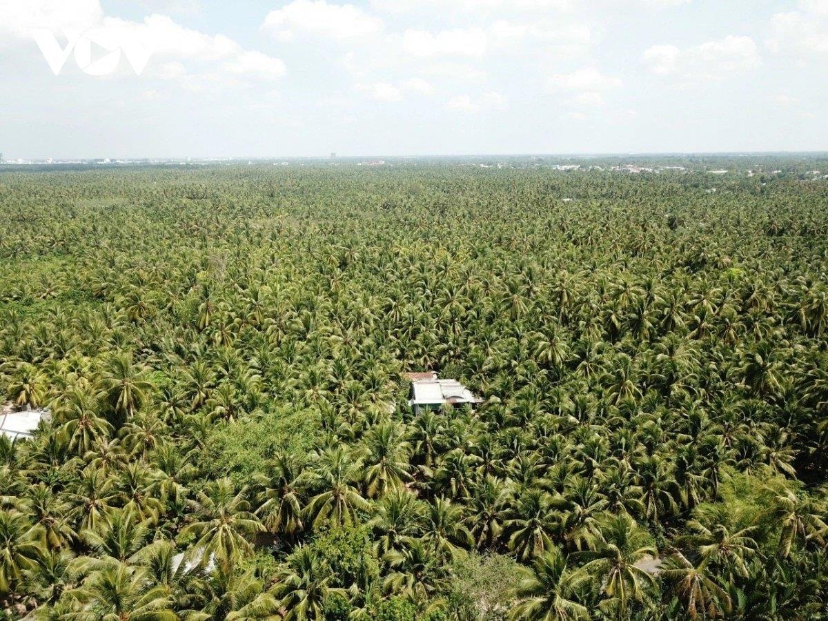 Đặc sản triệu đô của Việt Nam bất ngờ lao dốc cực mạnh: Vì sao nên nỗi?- Ảnh 2.