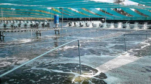 Mỹ, Trung Quốc đang đua nhau săn lùng kho báu đứng thứ 2 thế giới của Việt Nam: Nước ta có công nghệ chế biến dẫn đầu, vừa thu về gần 4 tỷ USD- Ảnh 1.