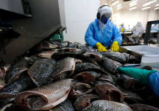 Sản vật dưới nước của Việt Nam được người Mỹ cực kỳ mê: Xuất khẩu tăng 141%, châu Âu, Trung Đông đều ưa chuộng - Ảnh 1.