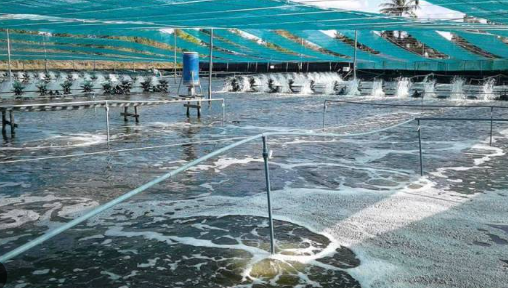 Không phải đất hiếm, Mỹ - Trung Quốc đang đua nhau săn một mặt hàng của Việt Nam: Nước ta đứng thứ 3 thế giới, xuất khẩu lập đỉnh 4,5 tỷ USD - Ảnh 1.