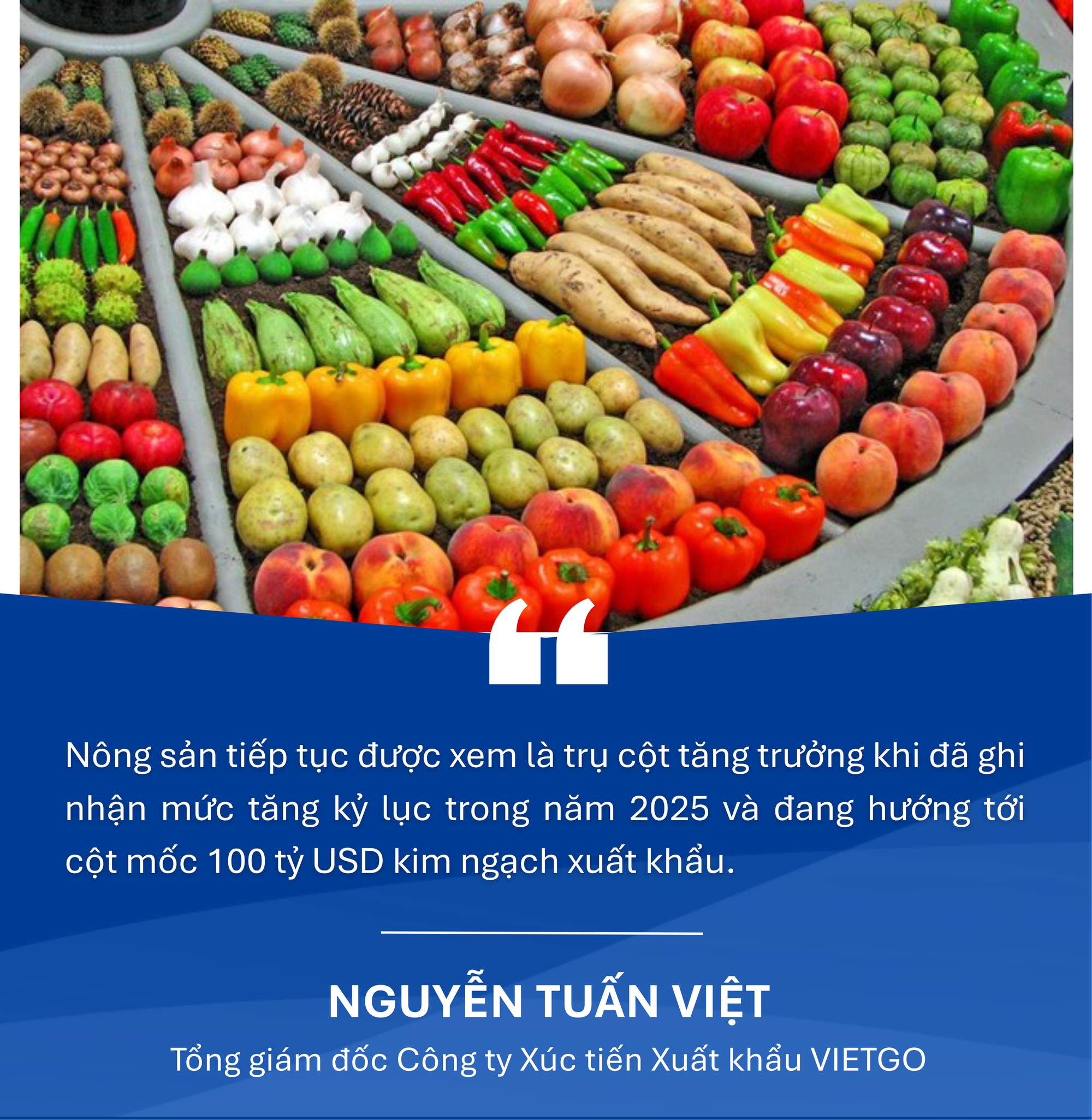 (Mùng 1 Tết) Xuất nhập khẩu hướng mốc 1.000 tỷ USD: Động lực mới từ chuỗi cung ứng và “cuộc chơi bán hàng” toàn cầu - Ảnh 5.