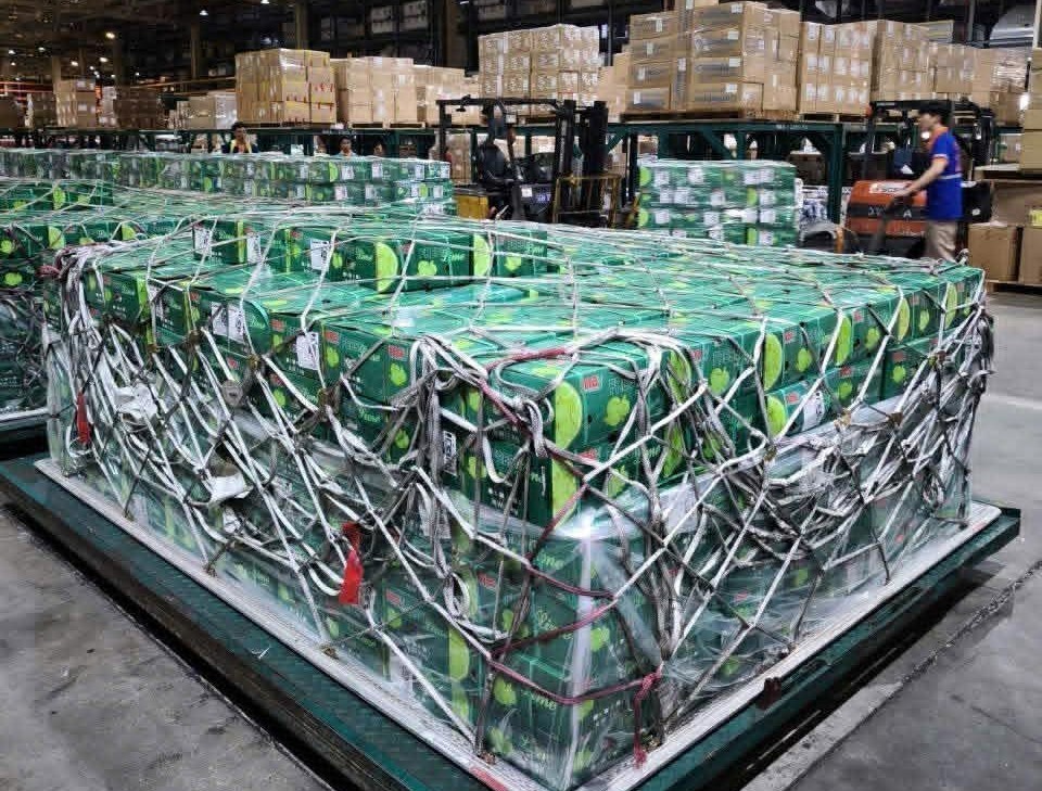 Việt Nam đón tín hiệu cực vui từ UAE: Lần đầu tiên siêu tập đoàn 8 tỷ USD thuê máy bay chở 100 tấn rau quả Việt  - Ảnh 1.