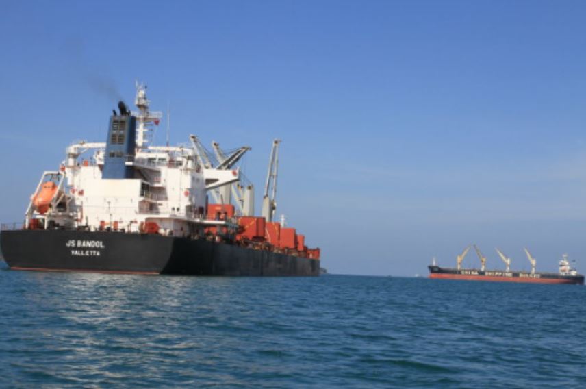 Việt Nam vừa đón tin vui từ Israel - Ảnh 1.